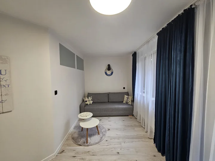 Salon z rozkładaną sofą